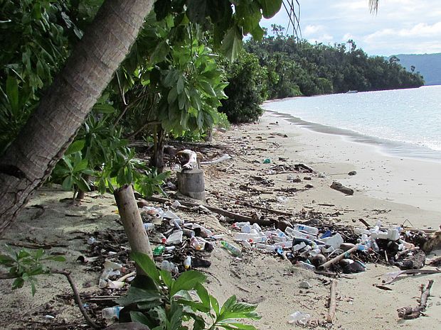 Müll liegt auf einem Sandstrand zwischen Palmen und Meer - oft ein Nebenprodukt von Tourismus.