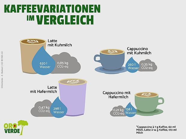 Ökobilanz von kaffeevariationen ©OroVerde - E. Bakker